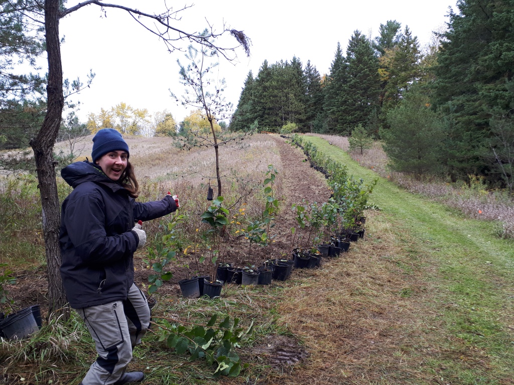 TRCAmazing! Another New Hedge Planting at Mount Wolfe Farm!