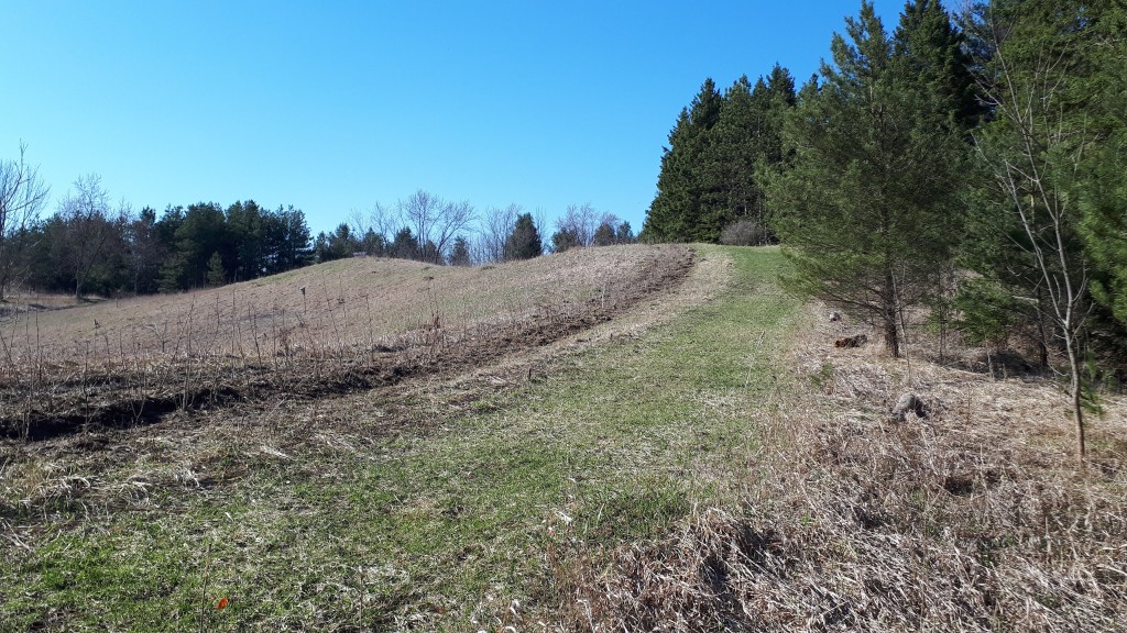 Life IN the hedge- toward a monitoring programme for Ontario’s hedgerows (Earth Day 2019)